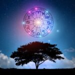 Aspectos-com-o-Meio-do Ceu