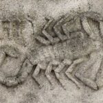 Características do ascendente em Escorpião