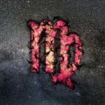 O significado do ascendente em Virgem