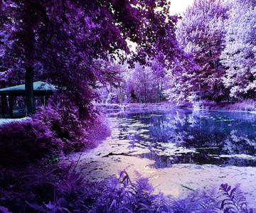 Jardim Astrológico Secreto