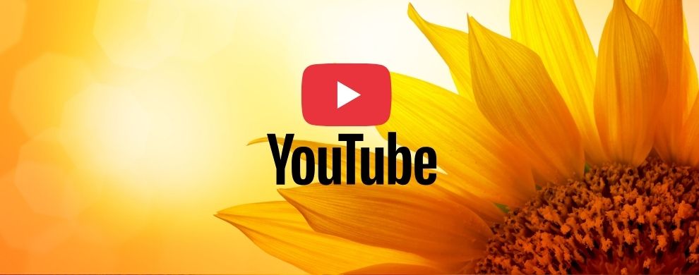 Conheça o canal Jardim Astrológico